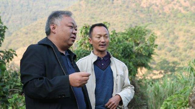 闪电评论丨“80后白发书记”走红背后是基层干部渴求关注的期盼